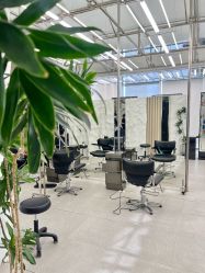 -BOF HAIR BY HONTO