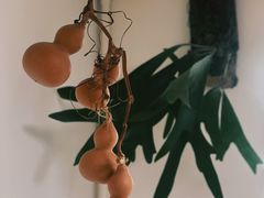 -本無咖啡·BeanWood Coffee