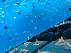 -瑞德姆美人鱼海底演艺主题餐厅(亚龙湾店)