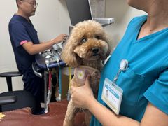 -美联众合动物医院·24h京西诊疗中心