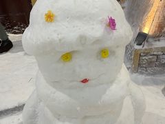 -世界之窗阿尔卑斯冰雪世界