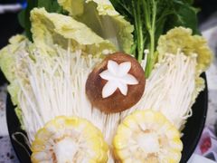 -椰子营·椰子鸡火锅(万象里店)
