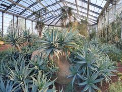 -南通洲际绿博园