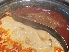 -生活如沸·顺德水牛奶火锅(大学路店)