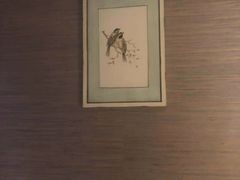 -樱蘭·影院足道·养生SPA(三里屯店)