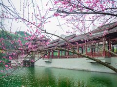 -重庆彩云湖湿地公园