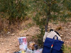 -北京西山国家森林公园