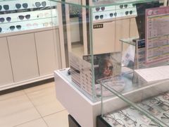 -宝岛眼镜(齐齐哈尔万达店)