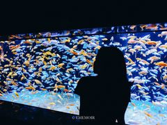 -成都浩海立方海洋公园