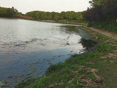 -美兰湖景区