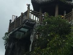 -南宁花花大世界景区