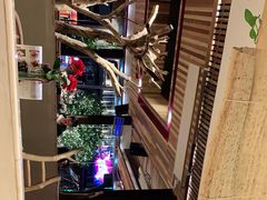 -渔太泰漓江小馆·广西融合菜(西街店)