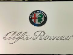 -上海保利玛莎拉蒂和阿尔法罗密欧(华翔路店)