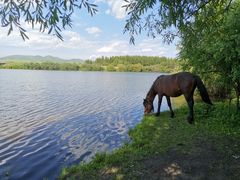 -塞罕坝国家级自然保护区