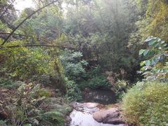 -大雁山风景区