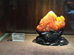-白天鹅宾馆·流浮阁咖啡厅