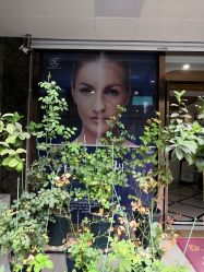 -悦芳庭美肤美体品牌集合店