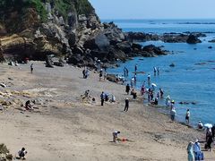 -大连金石滩滨海国家地质公园