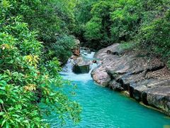 -广州白江湖森林公园