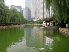 -团结湖公园