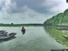 -洪湖生态旅游区