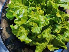 -煲宫猪肚鸡(晶品店)