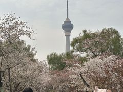 -中央电视塔旋转餐厅