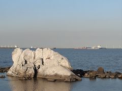 -上海吴淞炮台湾国家湿地公园