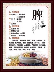 -兰派国际美容养生SPA