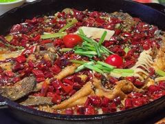 -老板恋上鱼(恒隆广场店)