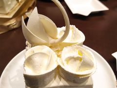 -BLACKSWAN黑天鹅(环球店)