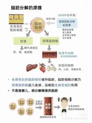 -卡莫瑜伽·普拉提