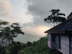 -三亚亚龙湾人间天堂鸟巢度假村