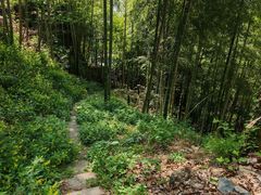-莫干山风景区