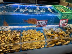 -黑潮市场