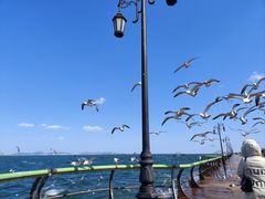 -东港音乐喷泉广场