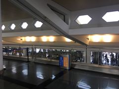 -厦门高崎国际机场-T3航站楼