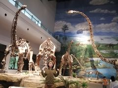 -自贡恐龙博物馆