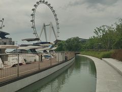 -金鸡湖桃花岛