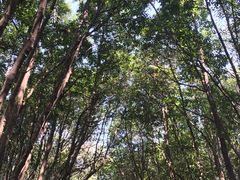 -艾溪湖湿地公园