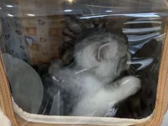 -瑞鹏宠物医院·内科·中兽医·骨科(苗圃店)