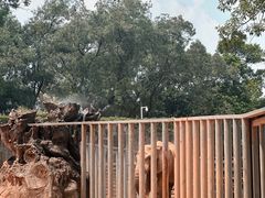 -广州动物园