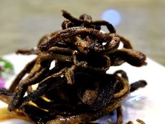 -新聚丰菜馆(太监弄店)