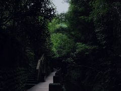 -凤栖山