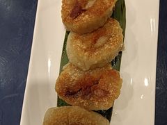-金龙寨(龙城路店)