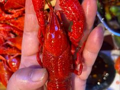 -靓靓蒸虾·头牌蒸虾(雪松路总店)