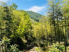 -藏龙百瀑风景区