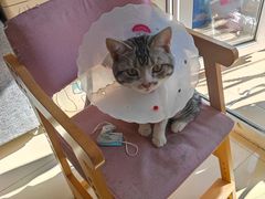 -北京恒爱动物医院(清景园分院)