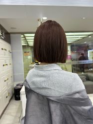 -镁连社·美联社