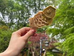 -灵隐飞来峰景区